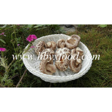 Dried Shiitake Mushroom Without Stem (white flower mushroom)